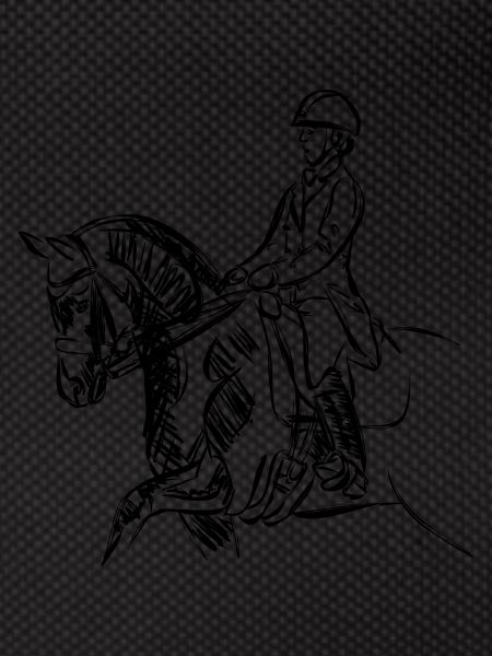 cheval et son cavalier