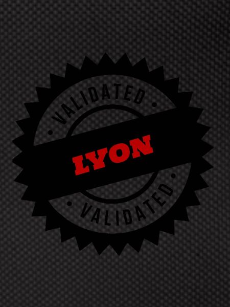 LYON city