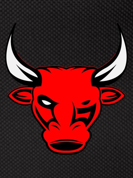 bull