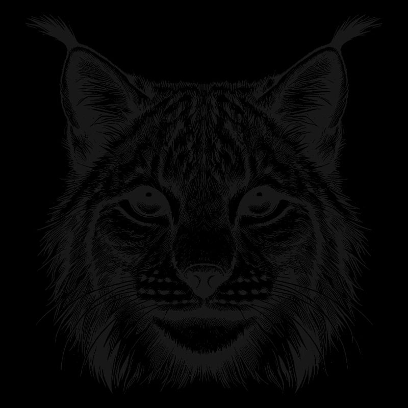 Lynx
