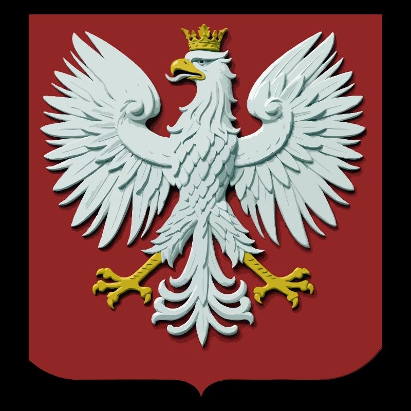 Aigle blanc Orze Biay