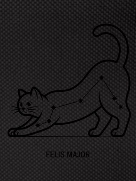 Felis Major