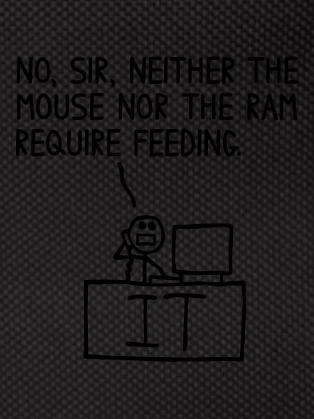 Mouse and RAM