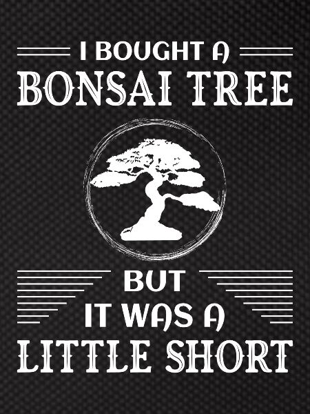 Bonsai Tree