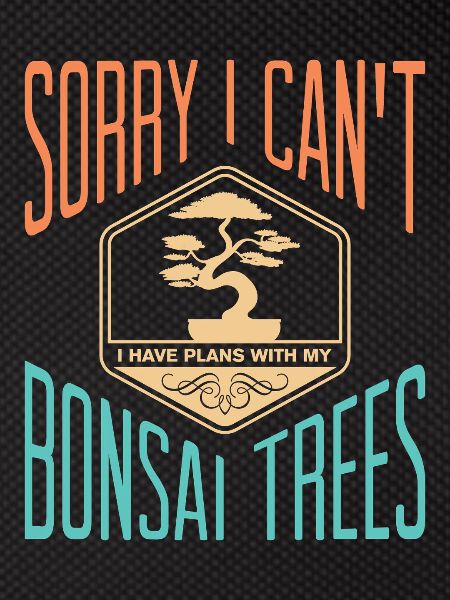 Bonsai Tree
