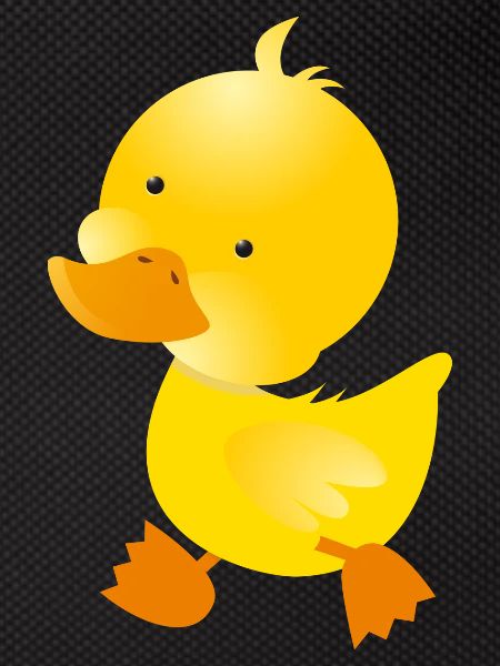 little Duck