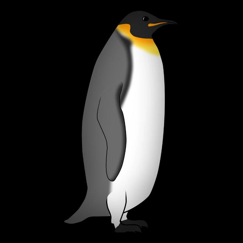 Kaiserpinguin steht