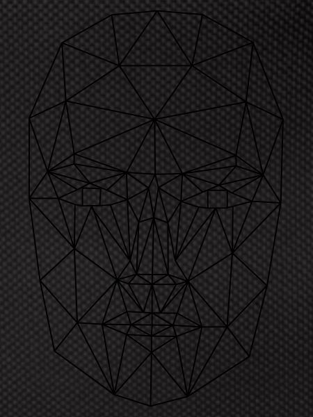 Face abstract wireframe
