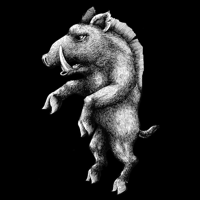 sanglier