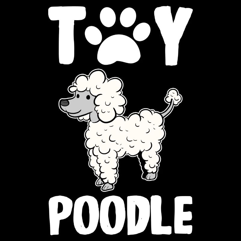 Caniche Chien Nain Caniche Jouet Caniche Petit Caniche Chiot Chiot