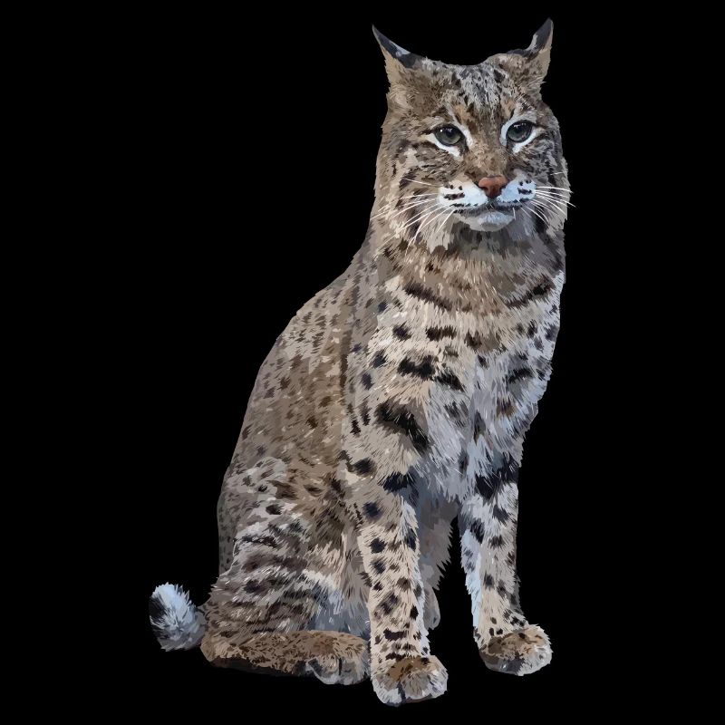 Luchs