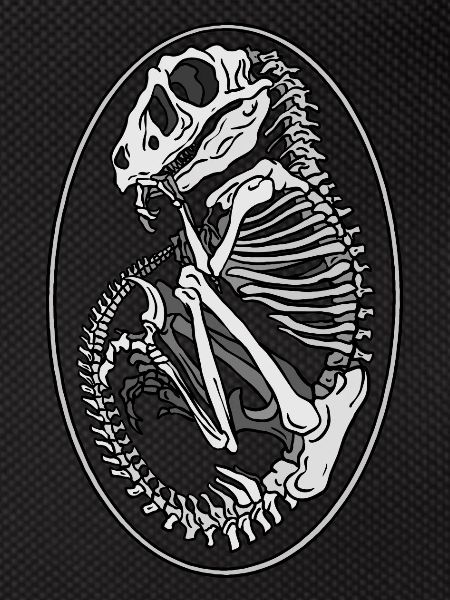 Dino Egg Skeleton