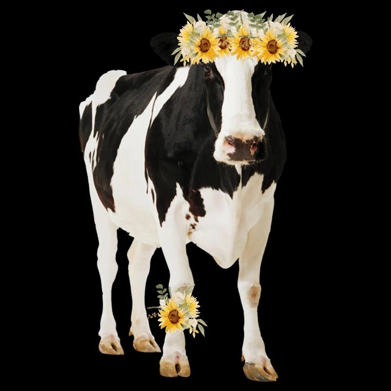 Holstein Cow With Flowers