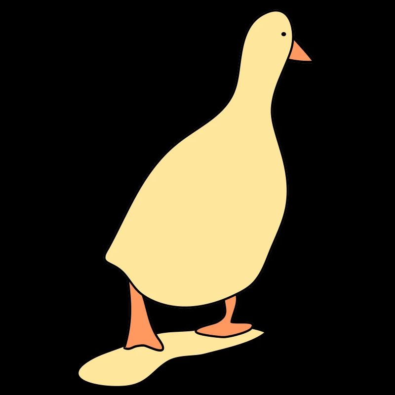 Entenvogel 3