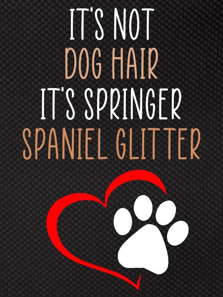 Springer glitter funny quote