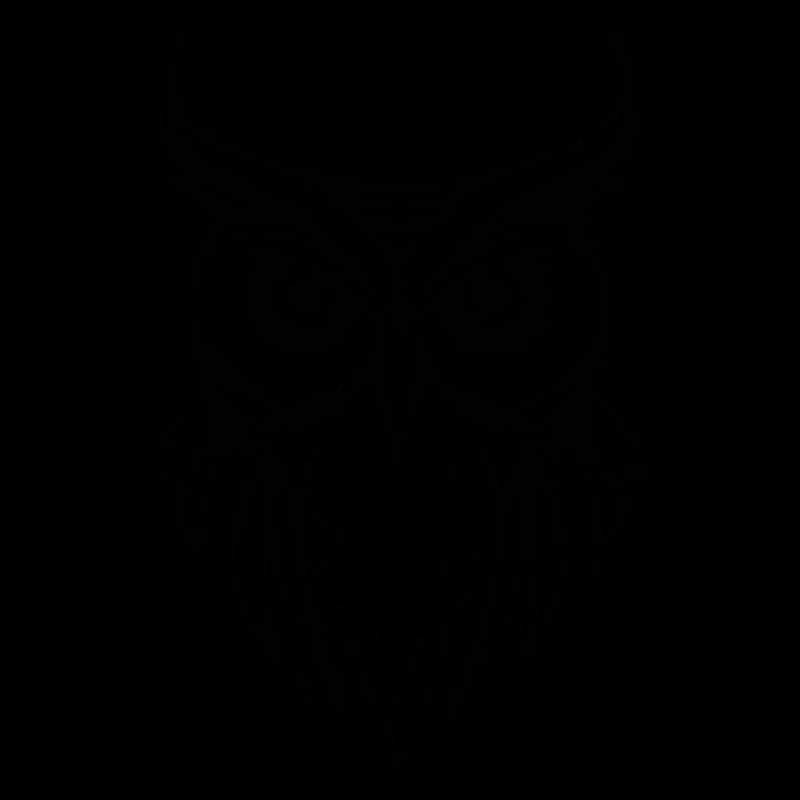 Eule Eulen Vogel Vögel