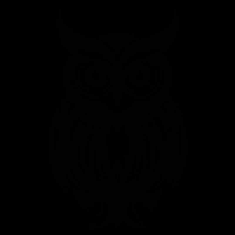 Eule Eulen Vogel Vögel