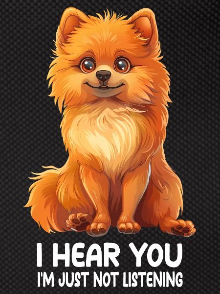 Dwarf spitz