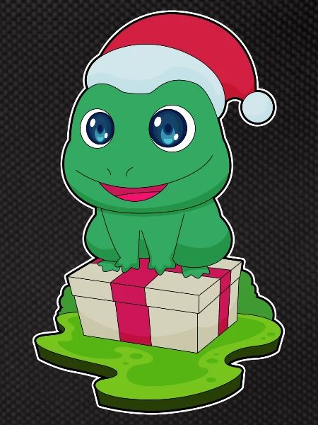 Frog Christmas Package