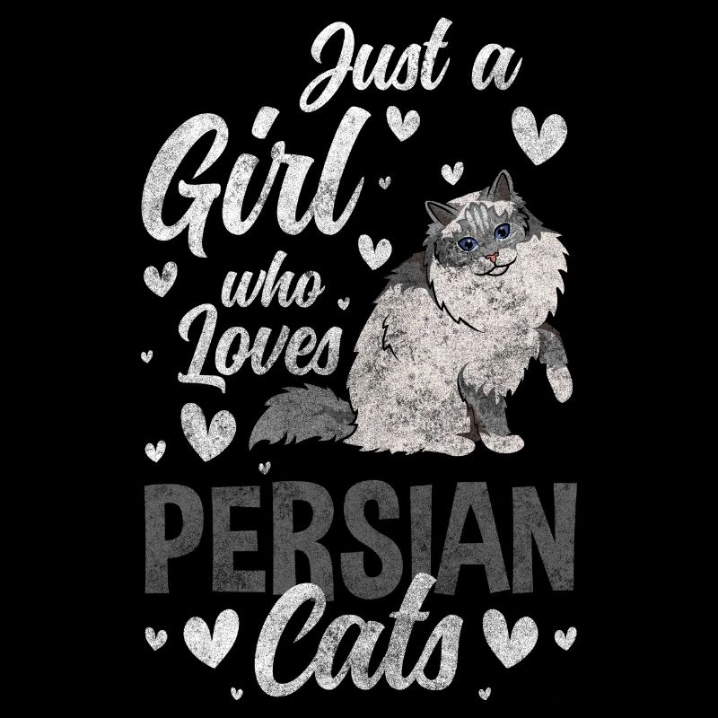 Chat Persan Amour Chat Amoureux Chat