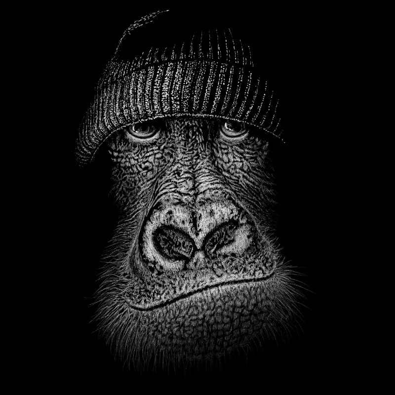 Gorille avec un bonnet de laine ! Illustration de singe