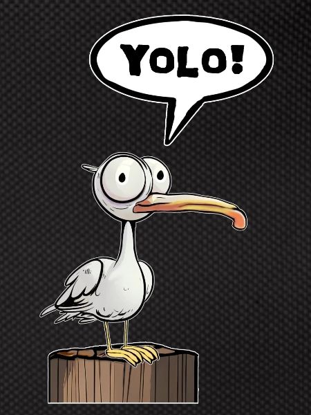 Seagull Speech Bubble Yolo