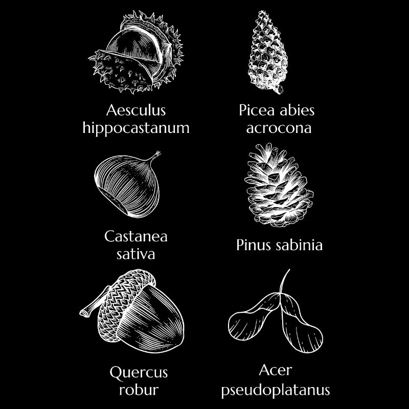 Nature's Bitter Sagittarius - Minimalist & Timeless