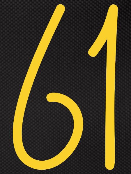 61