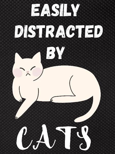 Easily distracted by Cats