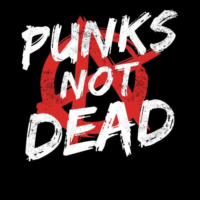 Punk Rock Pogo Anarchy Punks Punk Rocker Punk