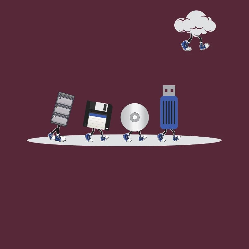 IT Geek, Accessoires PC Périphériques de stockage Evolution