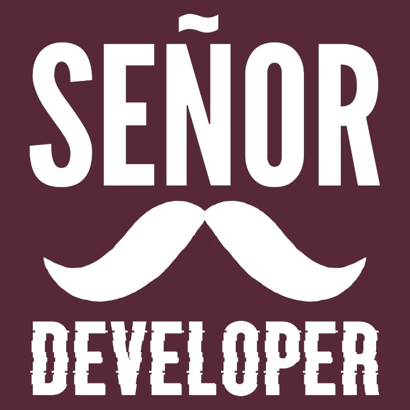 Senor Developer Programmer Gift