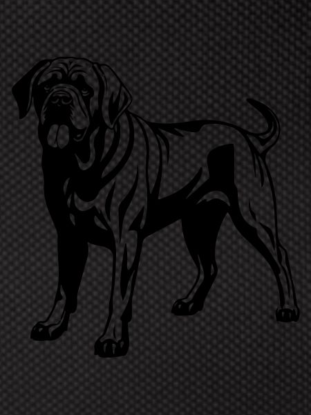 Mastiff Dog
