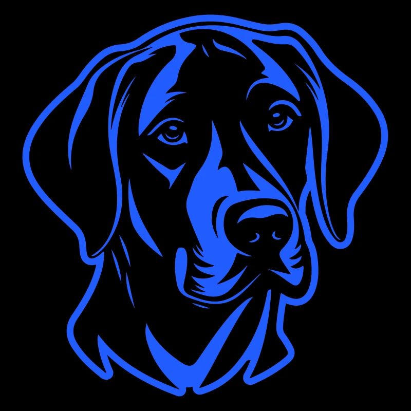 Labrador Hund Kopf