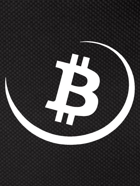 Bitcoin to the moon