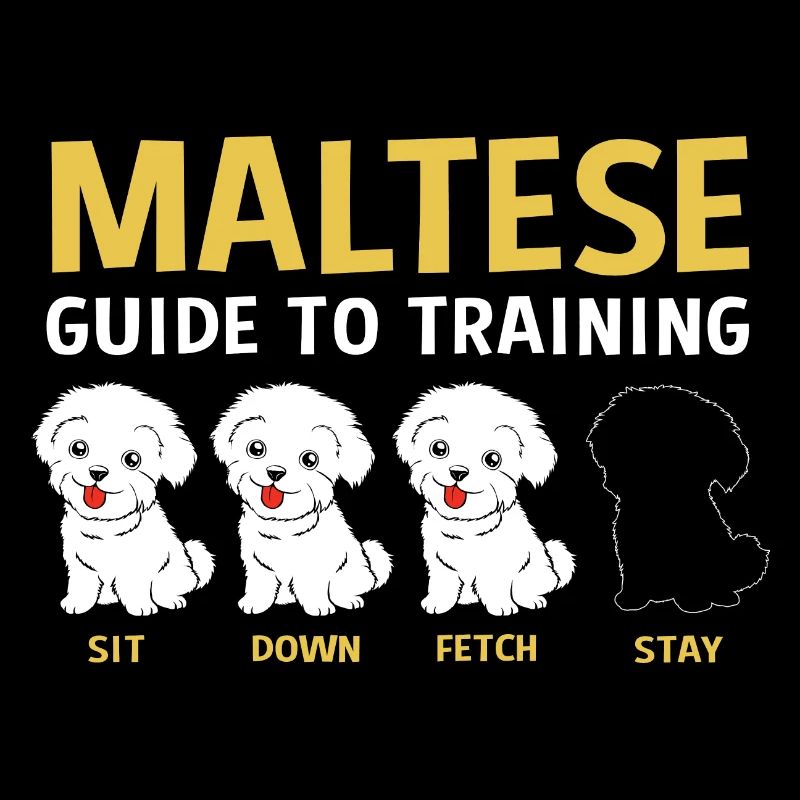 Maltese Dog