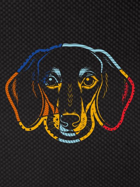 Chien teckel