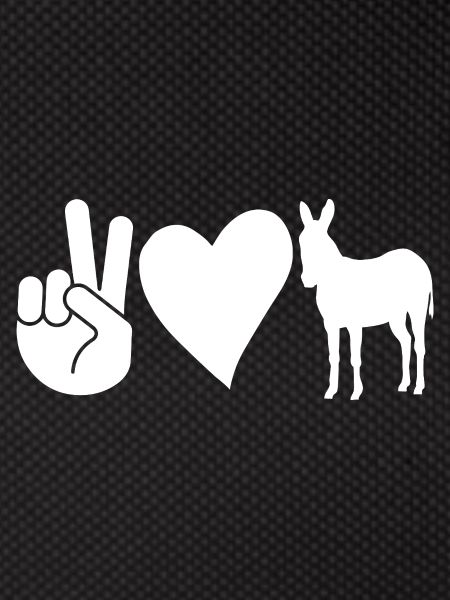 Donkey