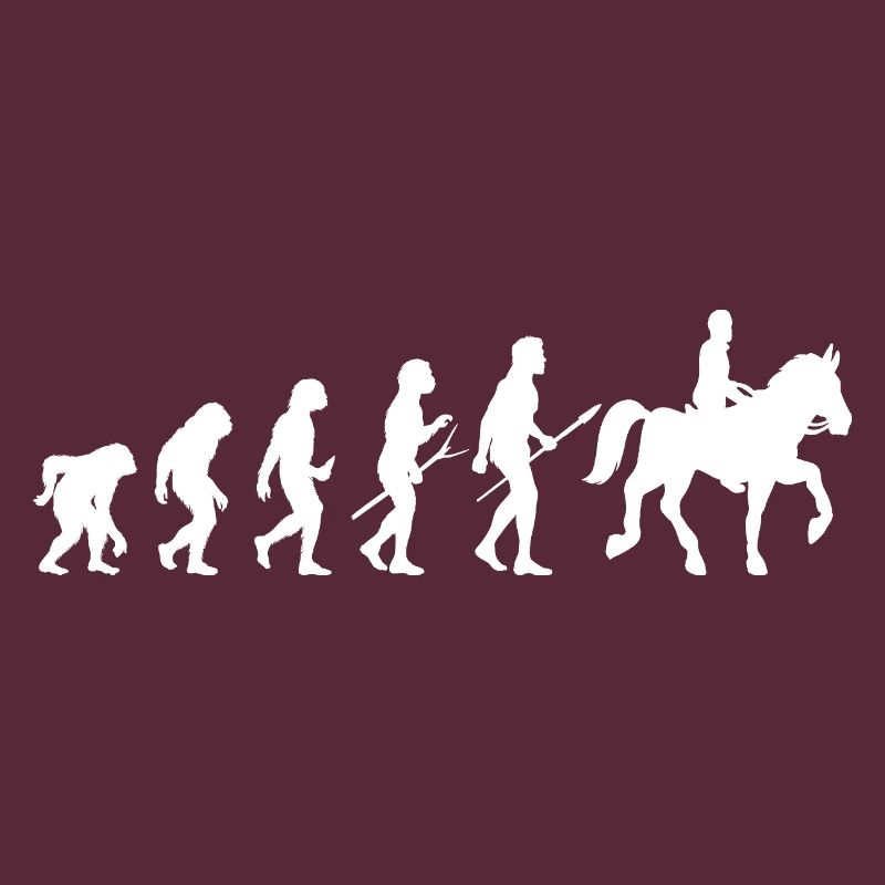Reiten Evolution Pferde