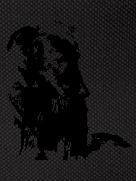 Hund Mischling