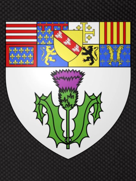 Blason Nancy