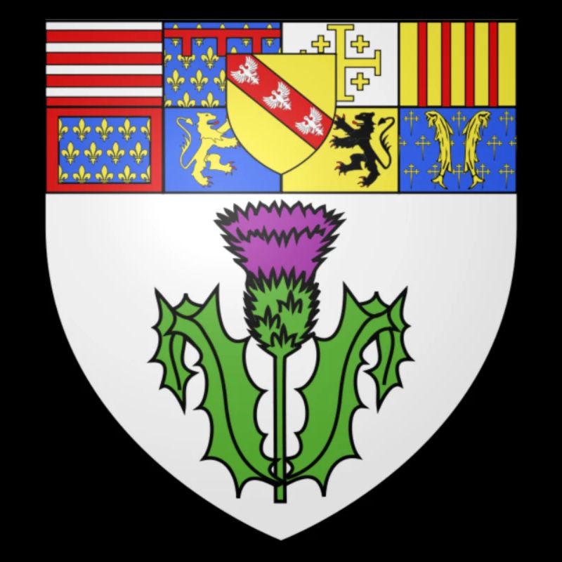 Blason Nancy
