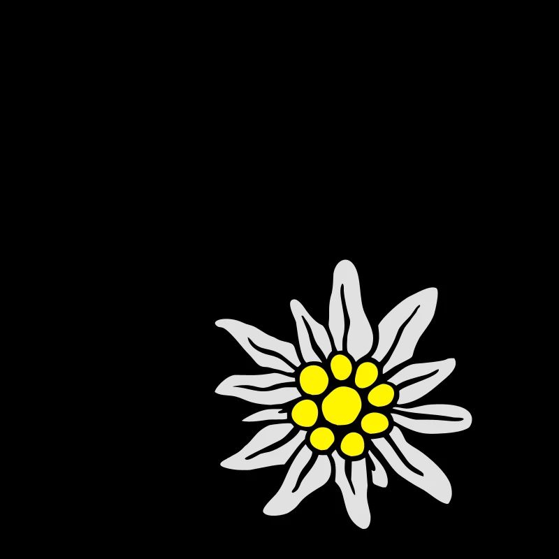 bergpanorama_mit_edelweiss_3c
