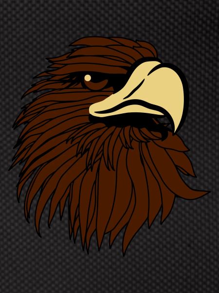 Eagle Bald Eagle