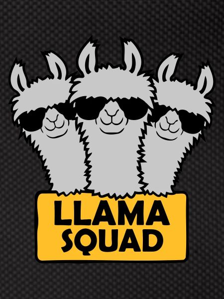 Llama Squad Team Design