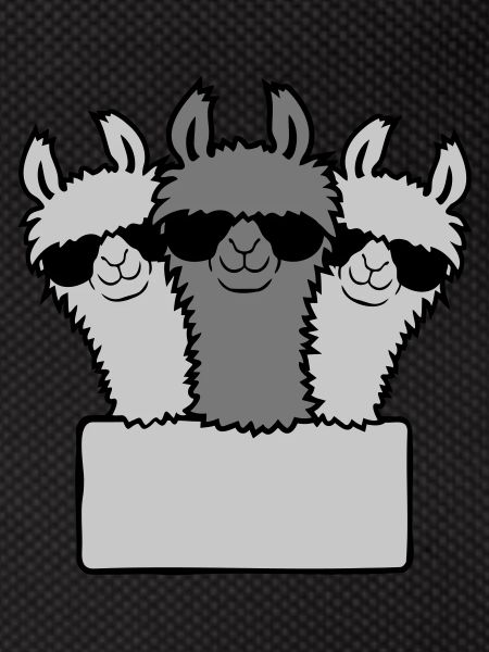 Empty Shield Lama's Team