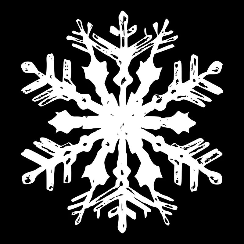 Snowflake Snow Winter Christmas Cold 02