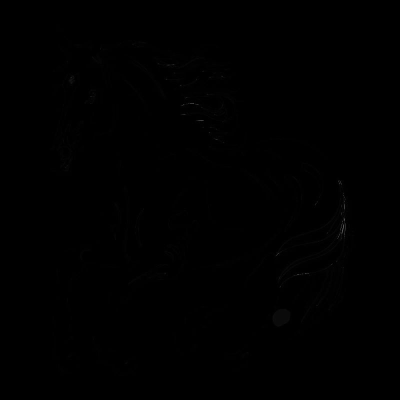 Cheval noir