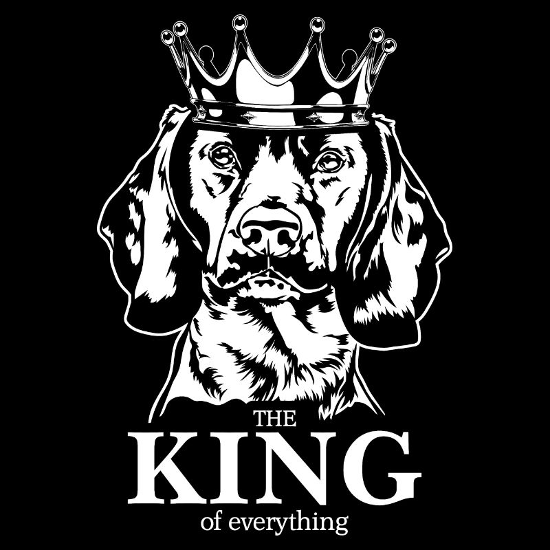 Bavarian Mountain Hound King of everything