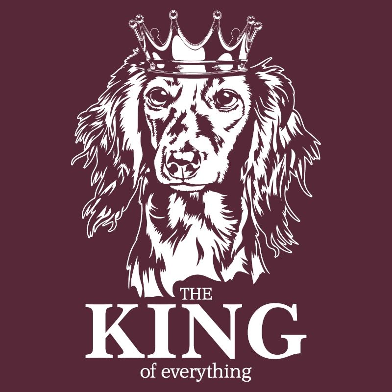 Teckel à poil long Roi de tout Dire Chiens